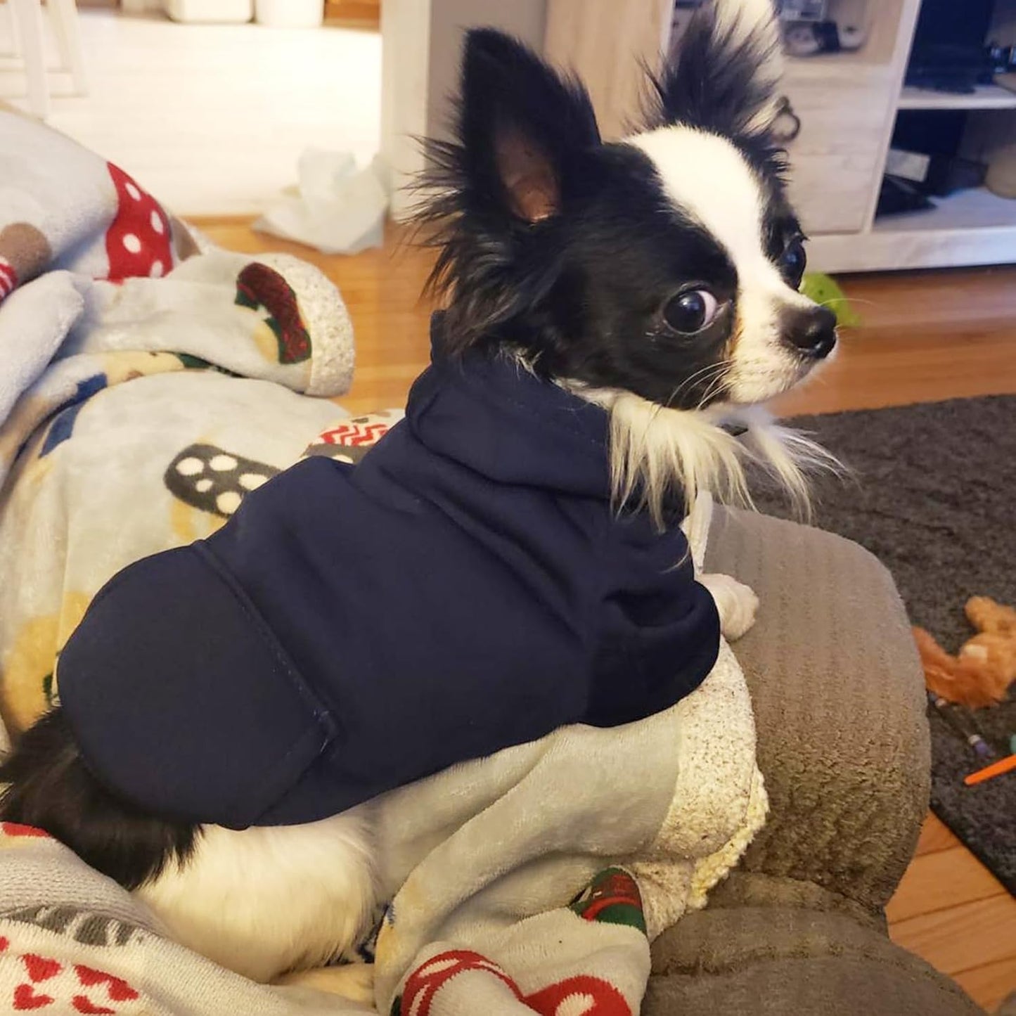 Winter Dog Cat Hoodie Sweatshirt with Pockets - Warm Clothing for Small Dogs and Puppies (Navy, Medium)