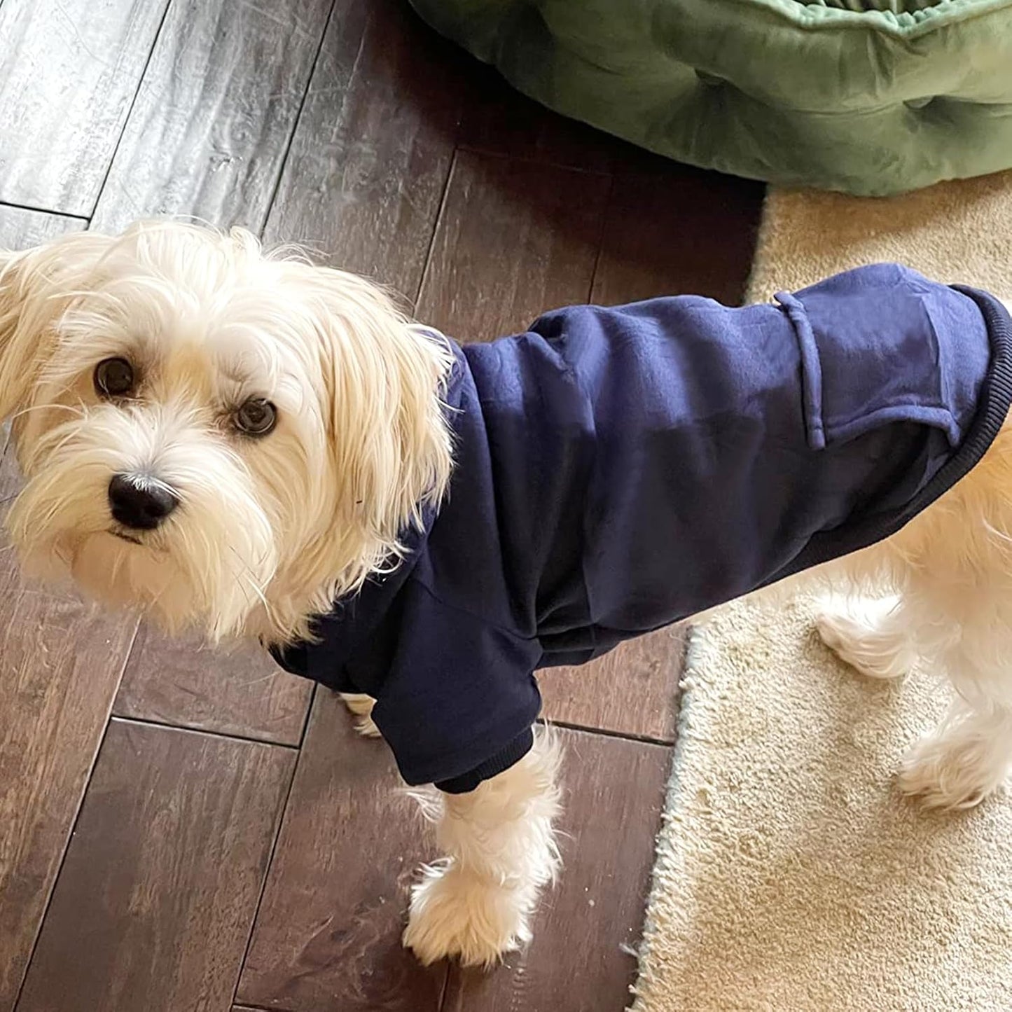 Winter Dog Cat Hoodie Sweatshirt with Pockets - Warm Clothing for Small Dogs and Puppies (Navy, Medium)