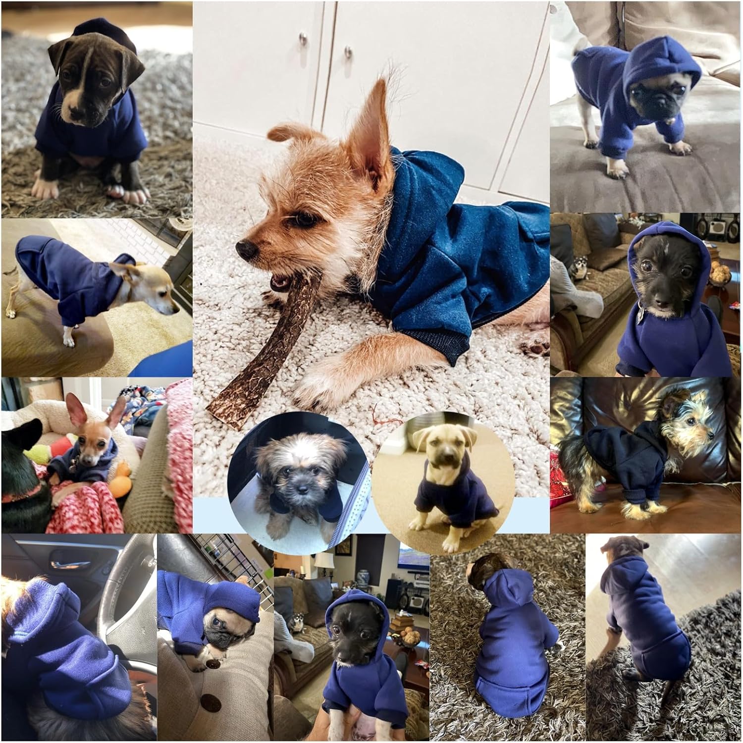 Winter Dog Cat Hoodie Sweatshirt with Pockets - Warm Clothing for Small Dogs and Puppies (Navy, Medium)
